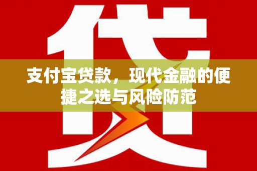 托里支付宝贷款，现代金融的便捷之选与风险防范