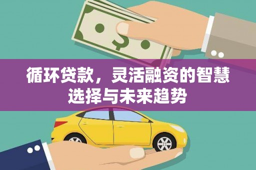 托里循环贷款，灵活融资的智慧选择与未来趋势