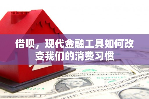 托里借呗，现代金融工具如何改变我们的消费习惯