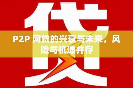 托里P2P 网贷的兴衰与未来，风险与机遇并存