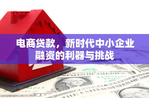 托里电商贷款，新时代中小企业融资的利器与挑战