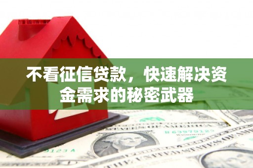 托里不看征信贷款，快速解决资金需求的秘密武器