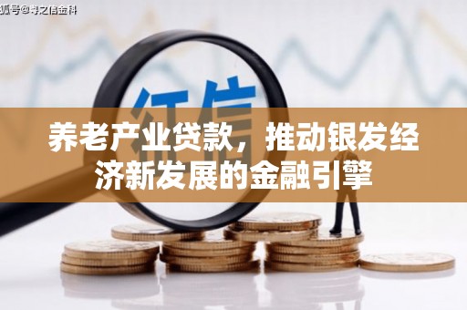 托里养老产业贷款，推动银发经济新发展的金融引擎