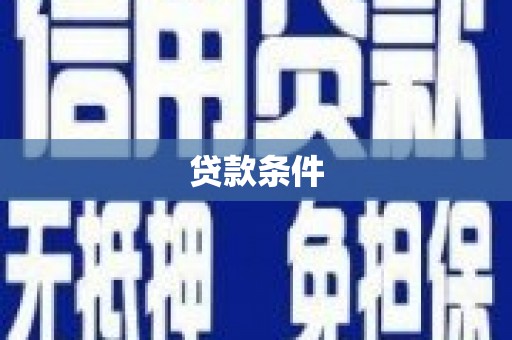 托里贷款条件