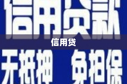 托里信用贷