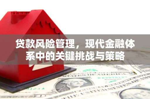 托里贷款风险管理，现代金融体系中的关键挑战与策略