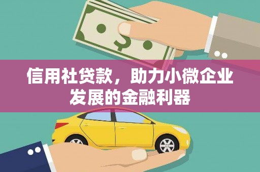 托里信用社贷款，助力小微企业发展的金融利器