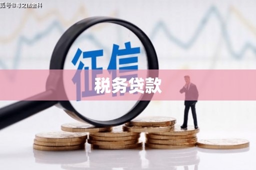 托里税务贷款