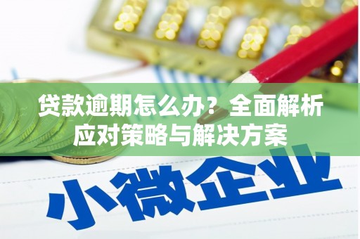 托里贷款逾期怎么办？全面解析应对策略与解决方案