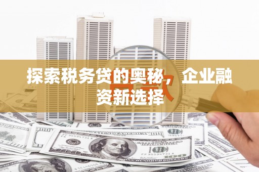 托里探索税务贷的奥秘，企业融资新选择