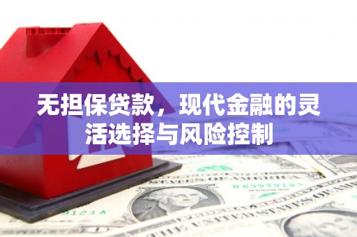 托里无担保贷款，现代金融的灵活选择与风险控制