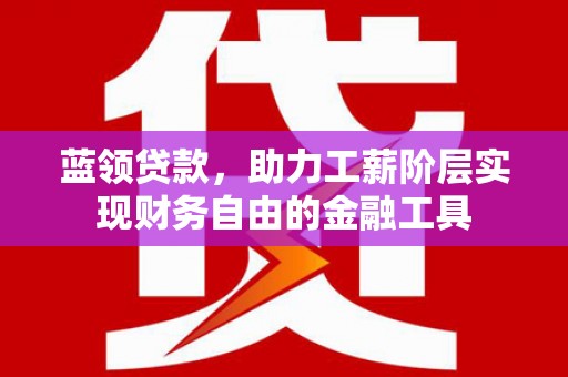 托里蓝领贷款，助力工薪阶层实现财务自由的金融工具