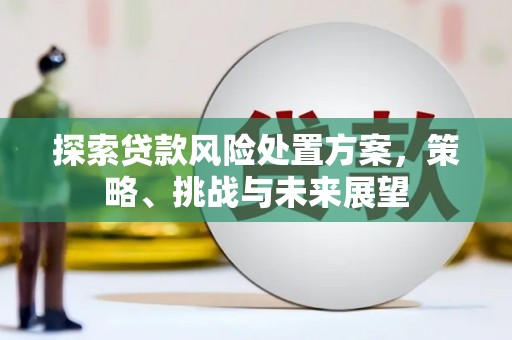 托里探索贷款风险处置方案，策略、挑战与未来展望