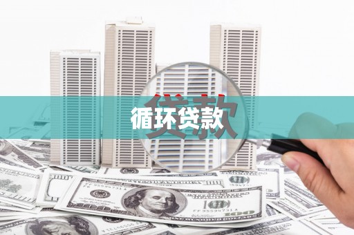 托里循环贷款