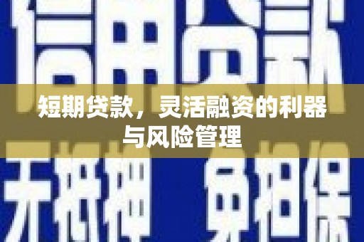 托里短期贷款，灵活融资的利器与风险管理