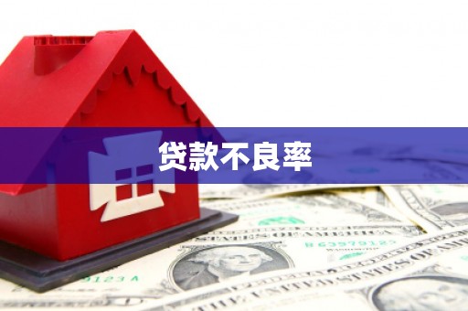 托里贷款不良率
