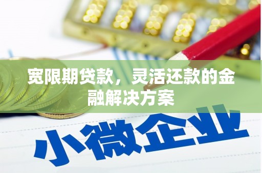 托里宽限期贷款，灵活还款的金融解决方案