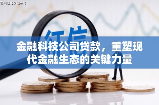 托里金融科技公司贷款，重塑现代金融生态的关键力量