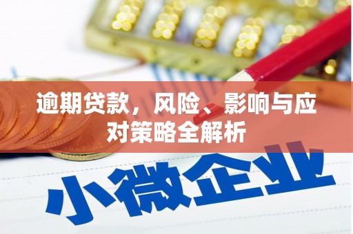 托里逾期贷款，风险、影响与应对策略全解析