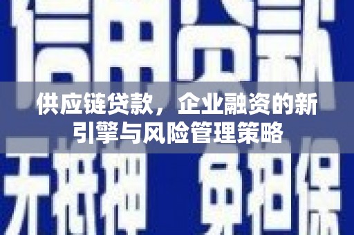 托里供应链贷款，企业融资的新引擎与风险管理策略