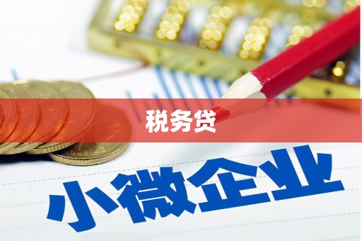 托里税务贷
