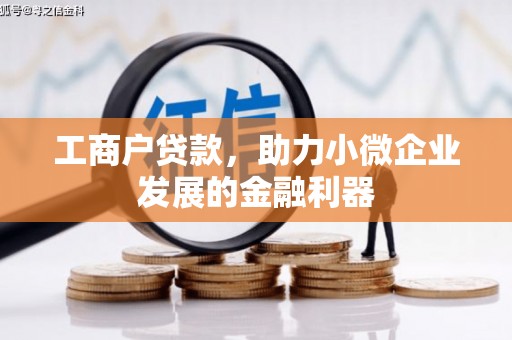 托里工商户贷款，助力小微企业发展的金融利器