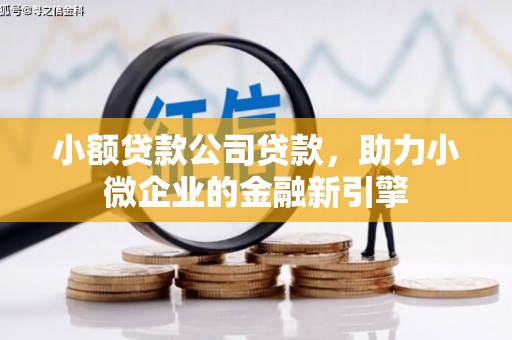 托里小额贷款公司贷款，助力小微企业的金融新引擎