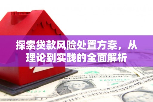 托里探索贷款风险处置方案，从理论到实践的全面解析
