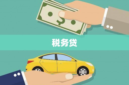 托里税务贷