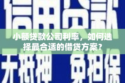 托里小额贷款公司利率，如何选择最合适的借贷方案？