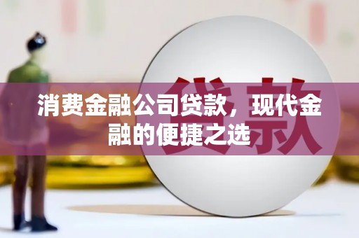 托里消费金融公司贷款，现代金融的便捷之选