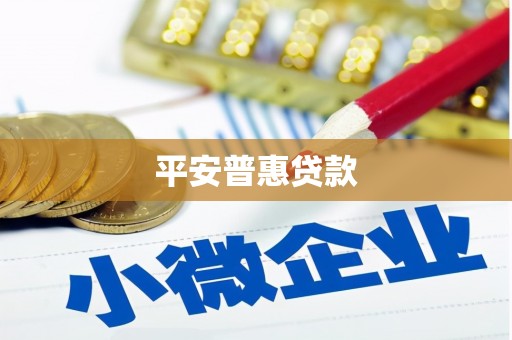 托里平安普惠贷款