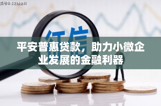 托里平安普惠贷款，助力小微企业发展的金融利器