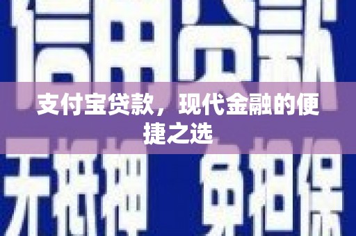 托里支付宝贷款，现代金融的便捷之选