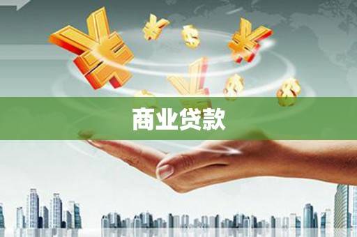 托里商业贷款
