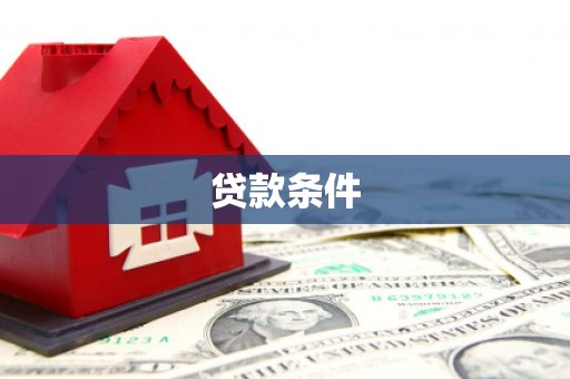 托里贷款条件