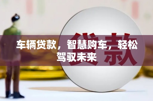 托里车辆贷款，智慧购车，轻松驾驭未来