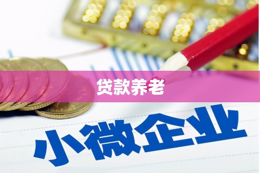 托里贷款养老