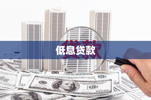 托里低息贷款