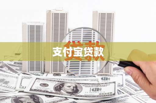 托里支付宝贷款