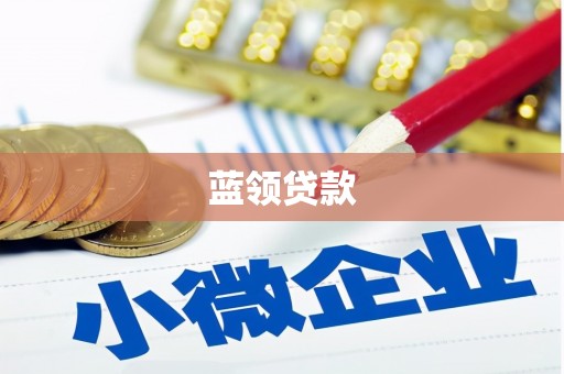 托里蓝领贷款