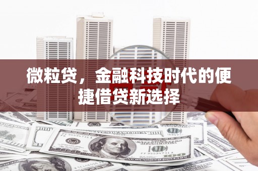 托里微粒贷，金融科技时代的便捷借贷新选择