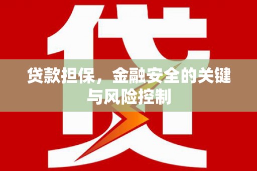 托里贷款担保，金融安全的关键与风险控制
