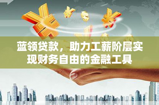 托里蓝领贷款，助力工薪阶层实现财务自由的金融工具