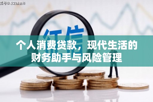 托里个人消费贷款，现代生活的财务助手与风险管理
