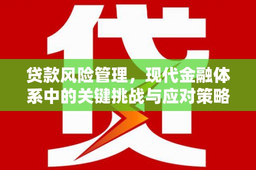 托里贷款风险管理，现代金融体系中的关键挑战与应对策略