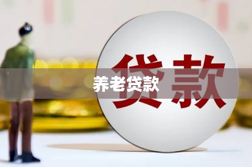 托里养老贷款