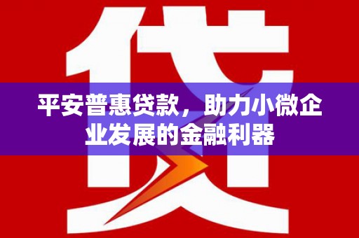 托里平安普惠贷款，助力小微企业发展的金融利器