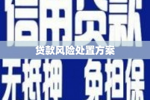 托里贷款风险处置方案