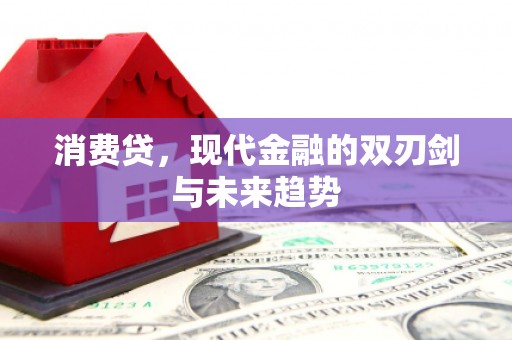 托里消费贷，现代金融的双刃剑与未来趋势